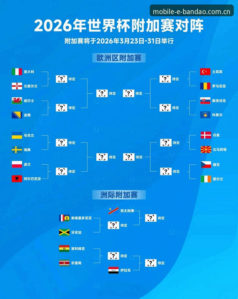 世界杯球迷签证危机 vs 半岛体育平台观赛体验：两大观赛选择全面对比